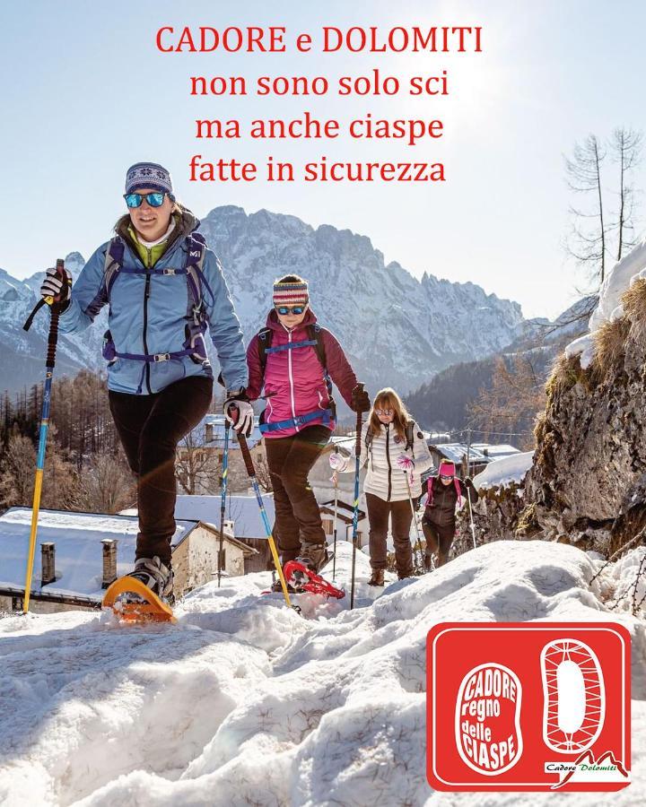 Villa Nani Pieve di Cadore Ngoại thất bức ảnh